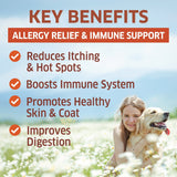 fur belly allergy relief and immune support, reduce itching, boosts immune system, improves digestion