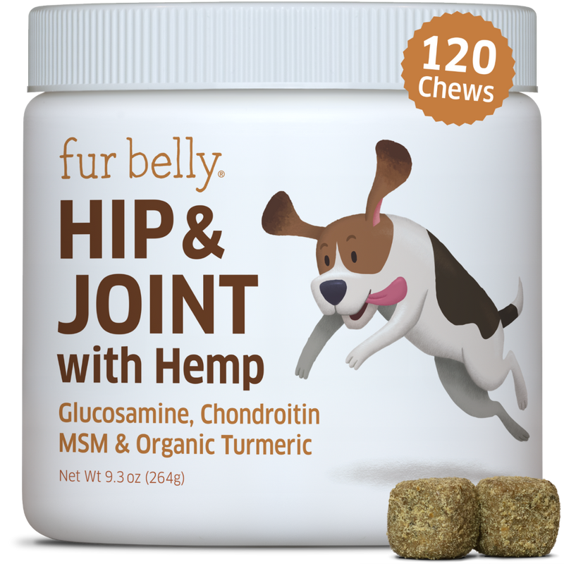 Hip and Joint with Hemp for dogs, glucosamine chondroitin for dogs, joint support for dogs