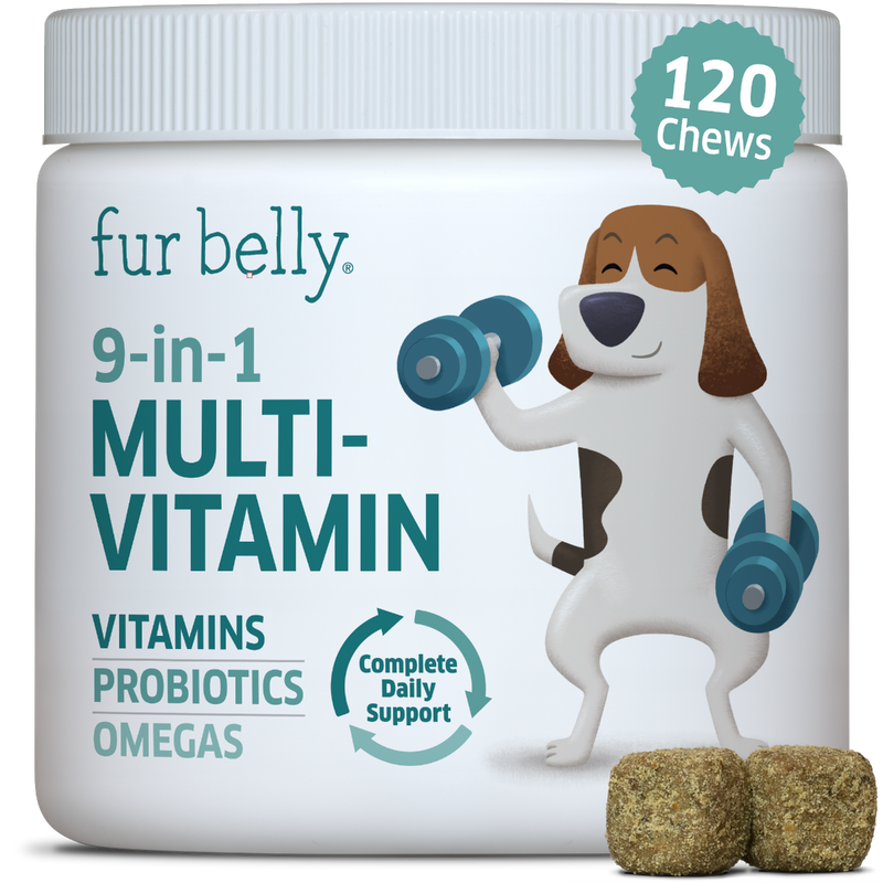 vitamins for dogs, probiotics for dogs, omega 3 for dogs