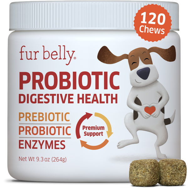 probiotics for dogs, dog probiotics, prebiotics and digestive enzymes