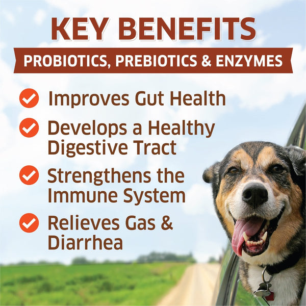 fur belly probiotics, improve gut health, strengthen immune sysem, reliveve diarrhea