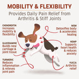 provides daily pain relief from arthritis and stiff joints in dogs