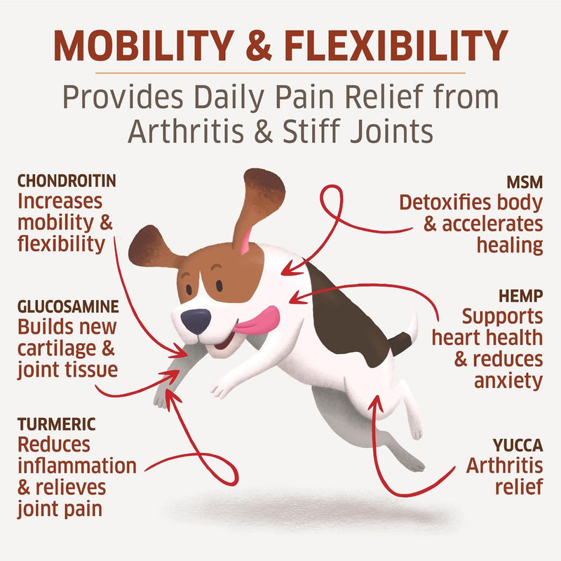 provides daily pain relief from arthritis and stiff joints in dogs