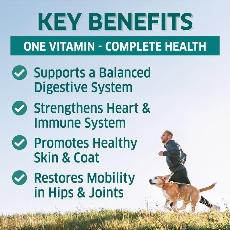 one vitamin - complete health, supports balanced digestive system, strengthens heart and immune system, restores mobility