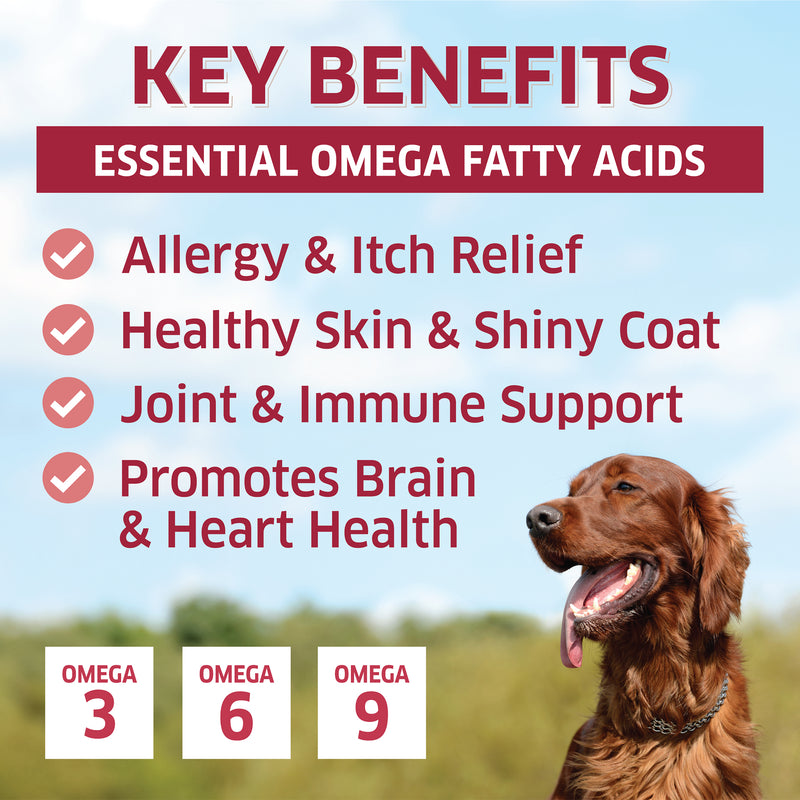  Salmon Fish Oil Omega 3 for Dogs - with Wild Alaskan Salmon Oil  - Anti Itch Skin & Coat + Allergy Support - Hip & Joint + Arthritis Dog  Supplement +