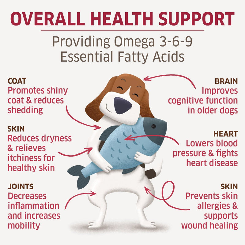 Fatty acids for dogs allergies best sale