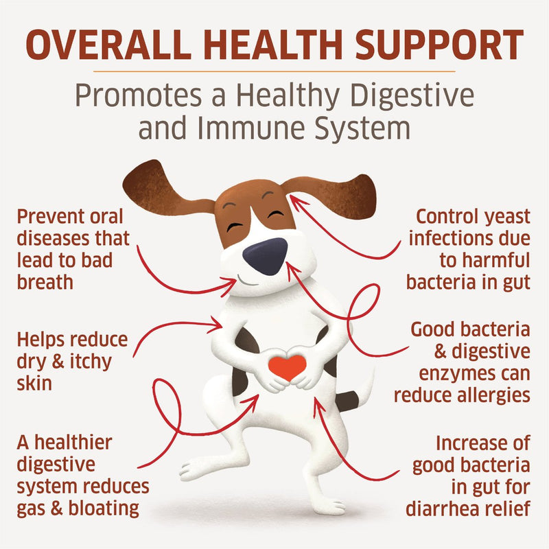 overall health support for dogs, promotes healthy digestive and immune system